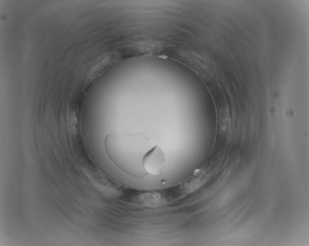 X0000076250279200610122213