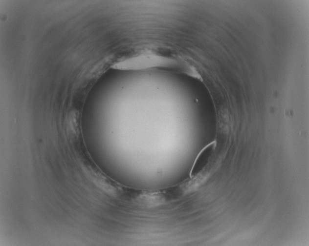 X0000076250280200610122213