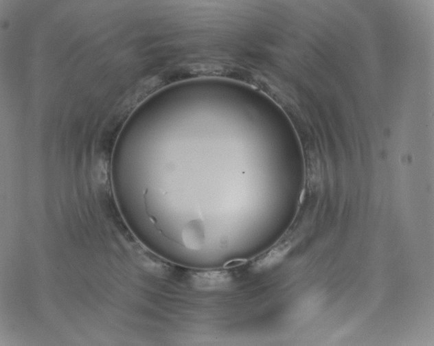 X0000076250281200610122213