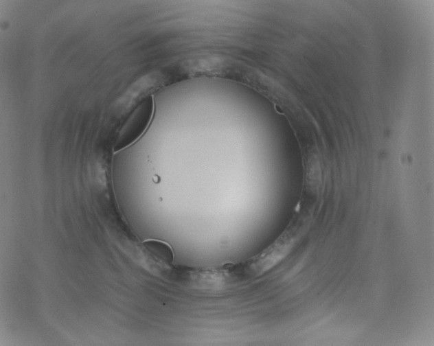 X0000076250282200610122213