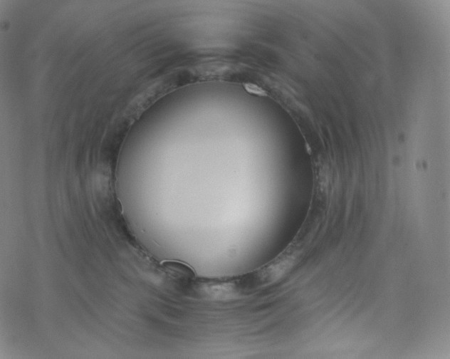 X0000076250283200610122213