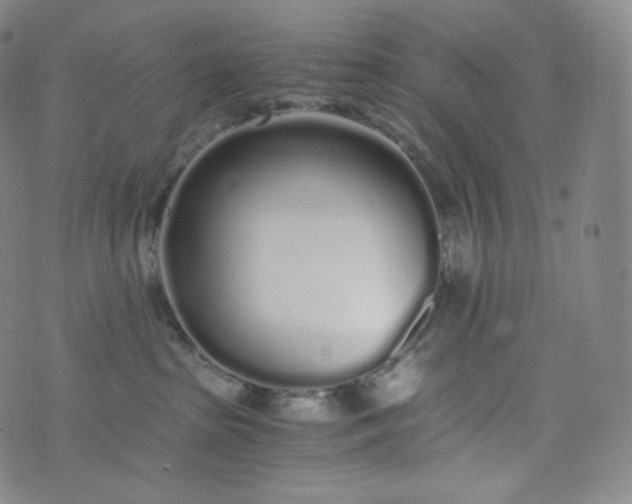 X0000076250285200610122213