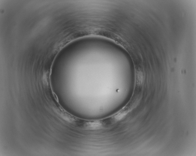 X0000076250286200610122213