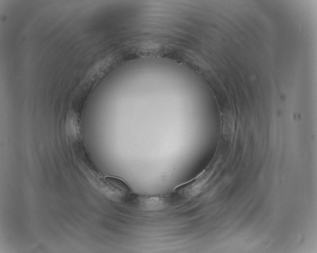 X0000076250287200610122213