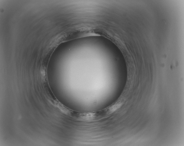 X0000076250288200610122213