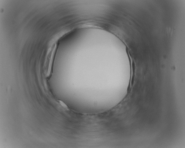 X0000076250289200610122212