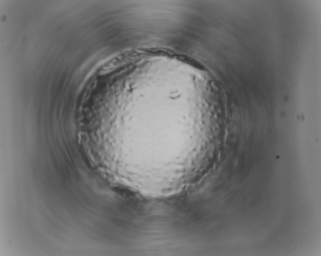 X0000076250290200610122212