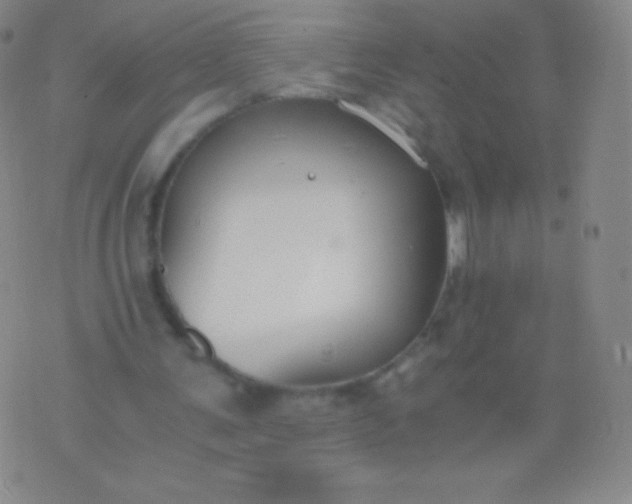 X0000076250291200610122212