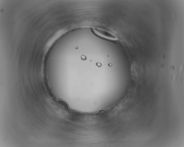 X0000076250292200610122212