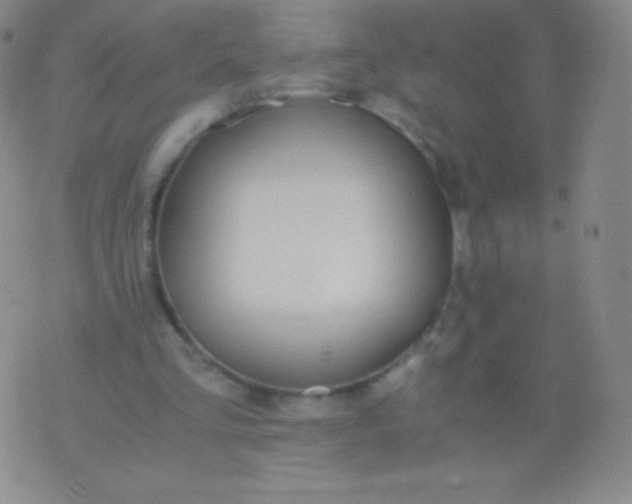 X0000076250293200610122212