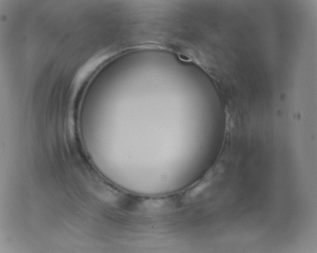 X0000076250294200610122212