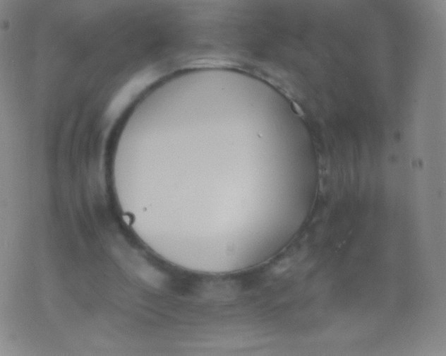 X0000076250296200610122212