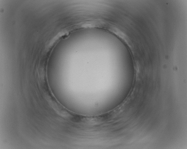 X0000076250297200610122212