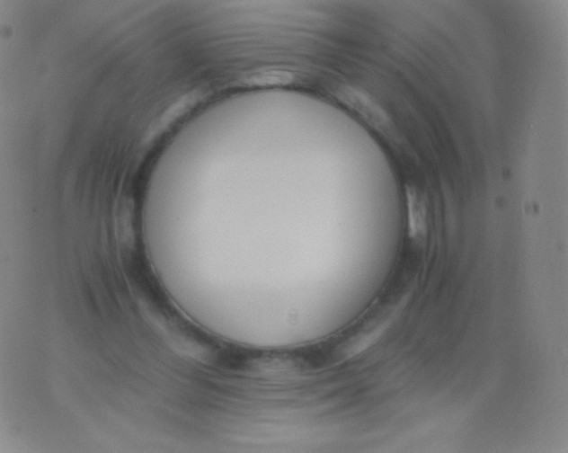 X0000076250300200610122212