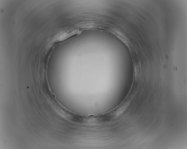 X0000076250301200610122212