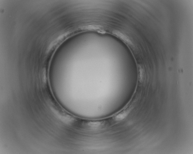 X0000076250302200610122212