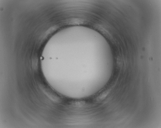 X0000076250304200610122212