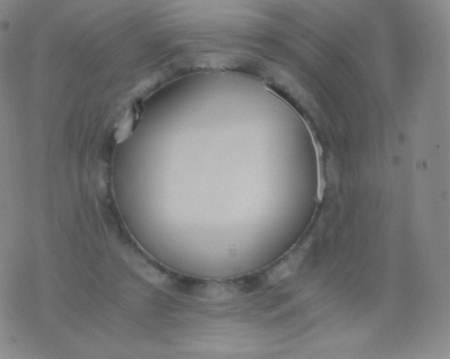 X0000076250305200610122212