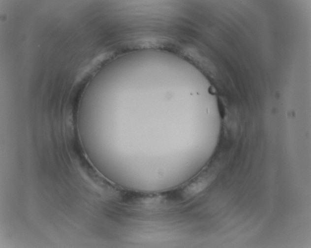 X0000076250306200610122212