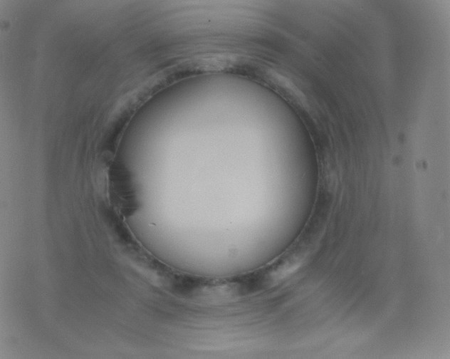 X0000076250307200610122212