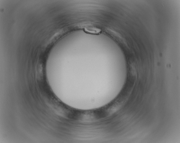 X0000076250308200610122212