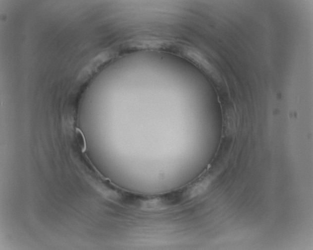 X0000076250309200610122212