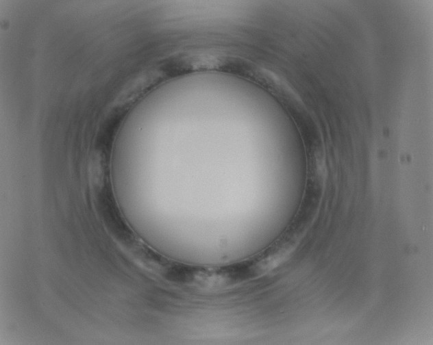 X0000076250311200610122212