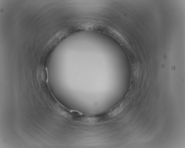 X0000076250313200610122212