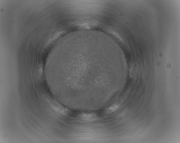 X0000076250314200610122212