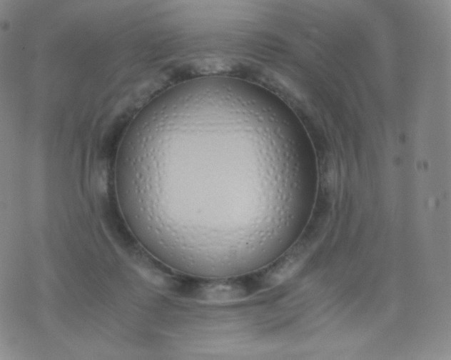 X0000076250315200610122212