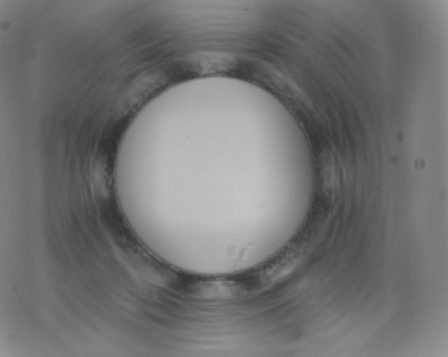 X0000076250316200610122212