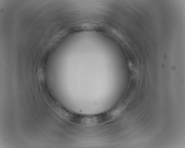 X0000076250317200610122212