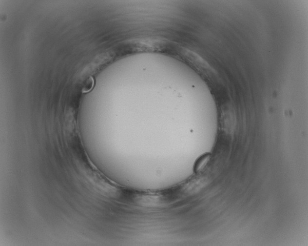 X0000076250318200610122212