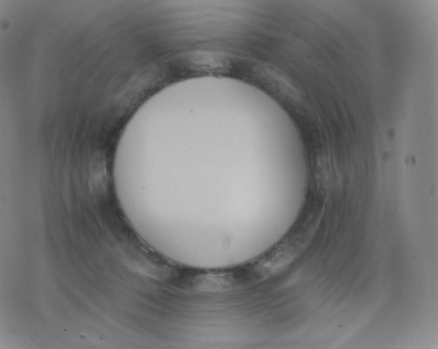 X0000076250320200610122212