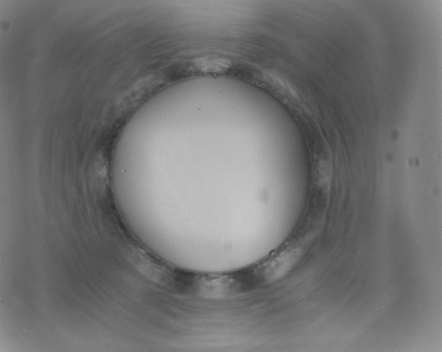 X0000076250321200610122212