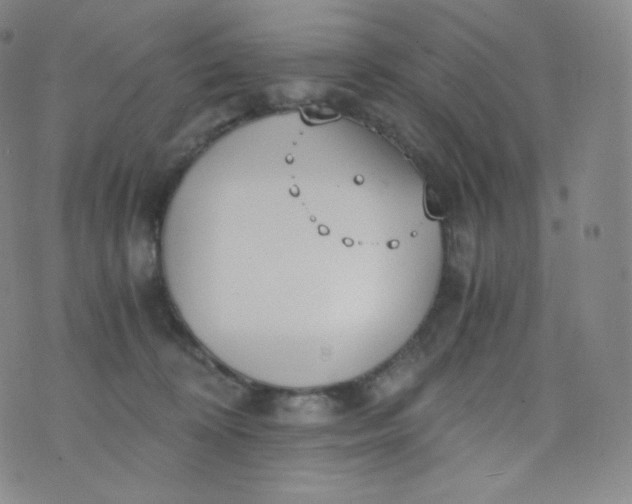 X0000076250324200610122211