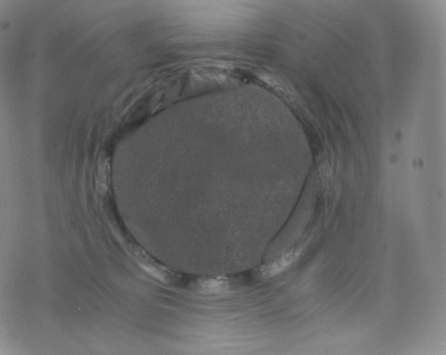 X0000076250325200610122211