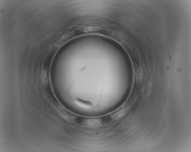 X0000076250327200610122211