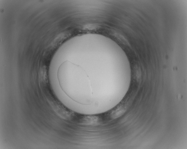 X0000076250328200610122211