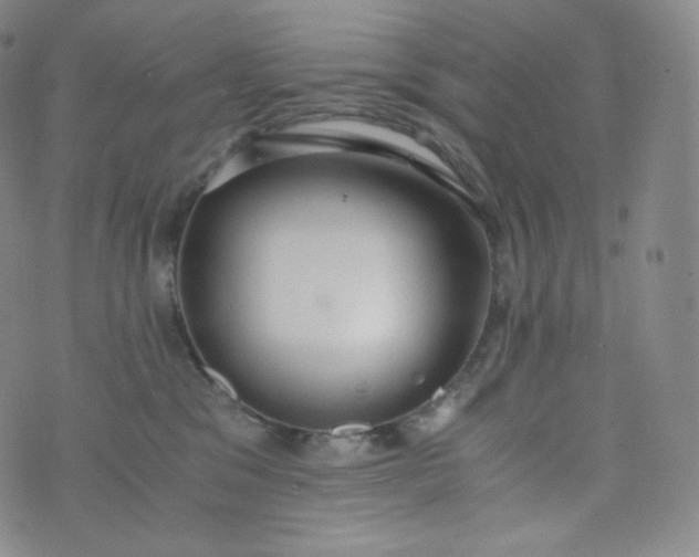 X0000076250329200610122211