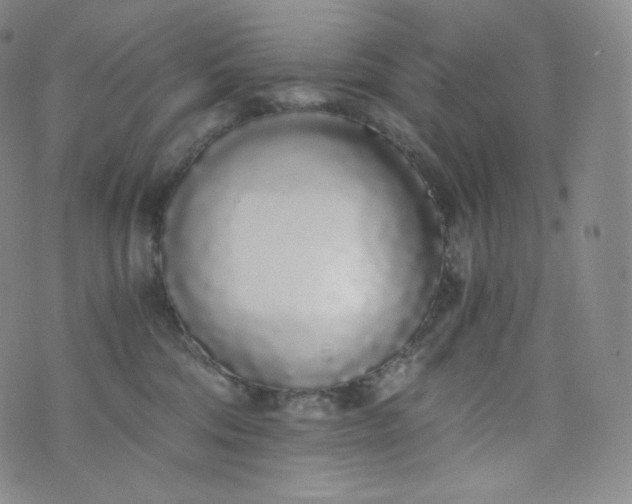 X0000076250330200610122211