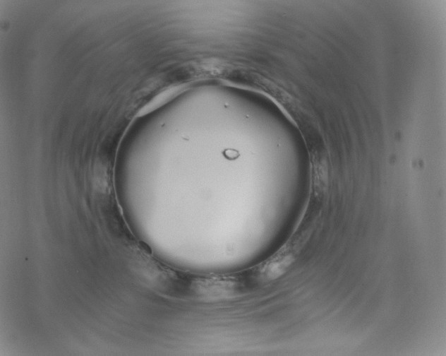 X0000076250331200610122211