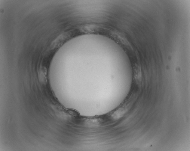 X0000076250332200610122211