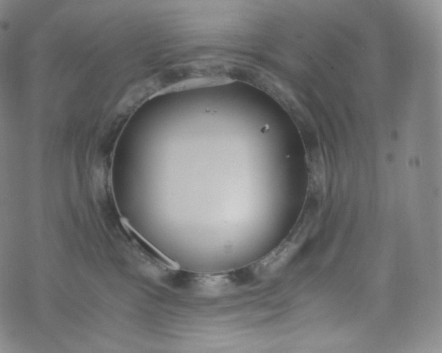 X0000076250333200610122211