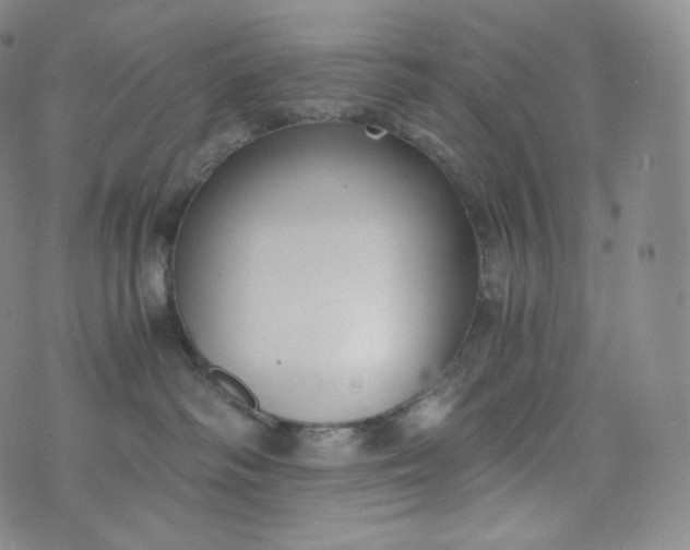 X0000076250334200610122211