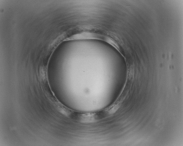 X0000076250335200610122211