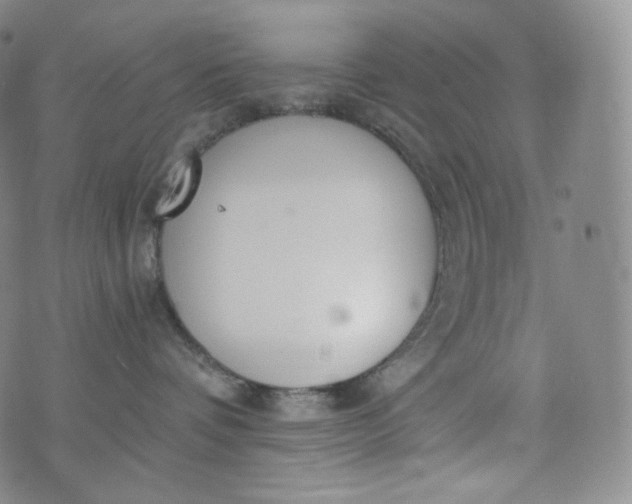 X0000076250336200610122211