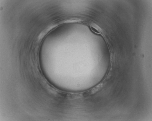 X0000076250337200610122211