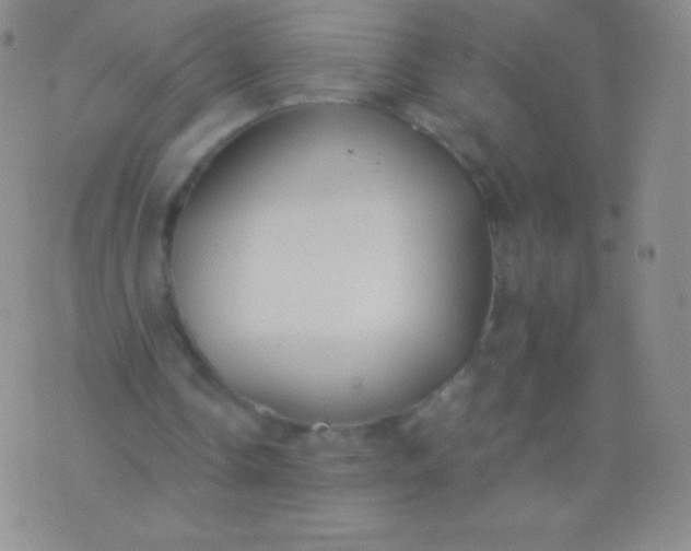 X0000076250338200610122211