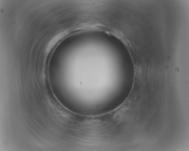 X0000076250340200610122211